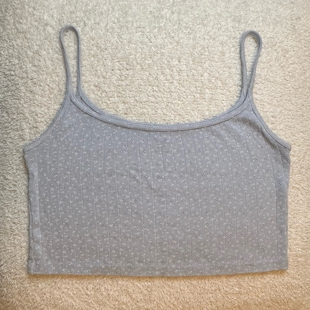 Brandy Melville Baby Blue Cropped Tank